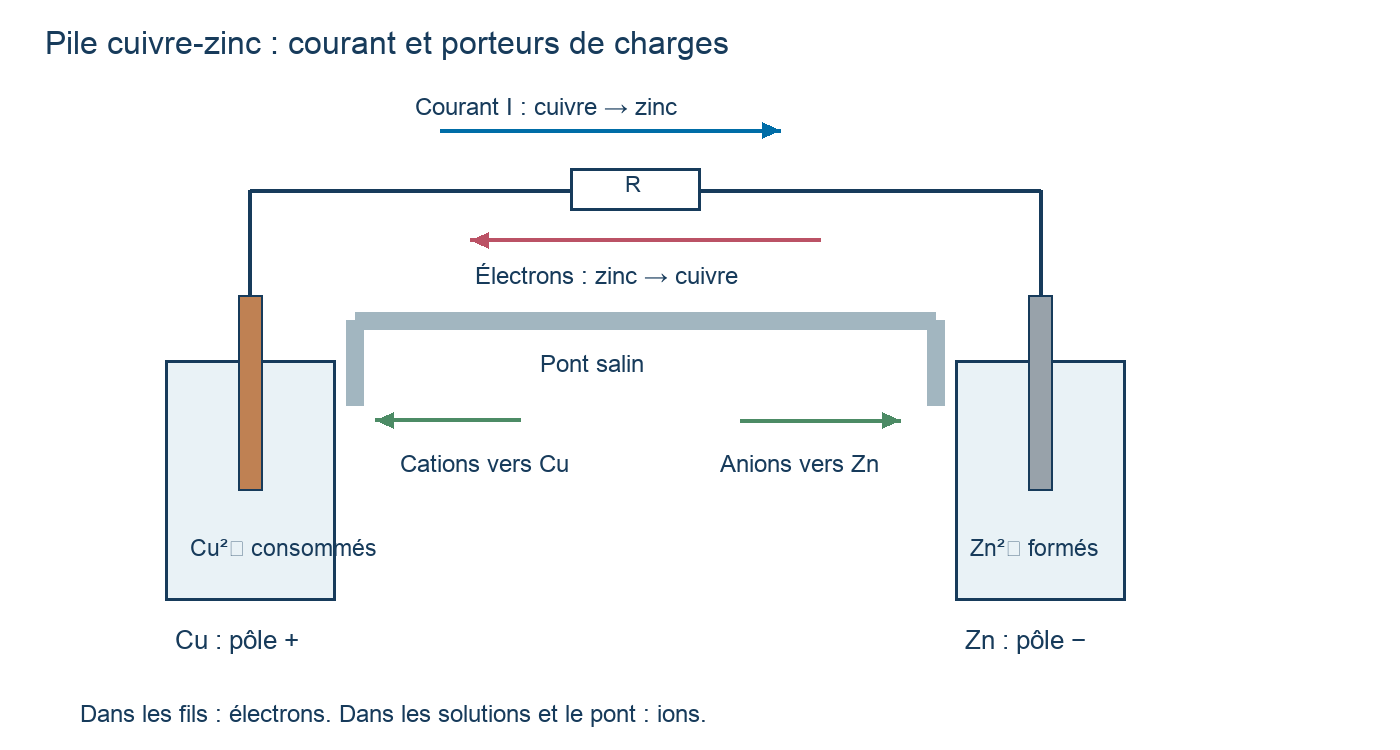 Pile cuivre à gauche et zinc à droite : polarités, courant, électrons et ions du pont salin.