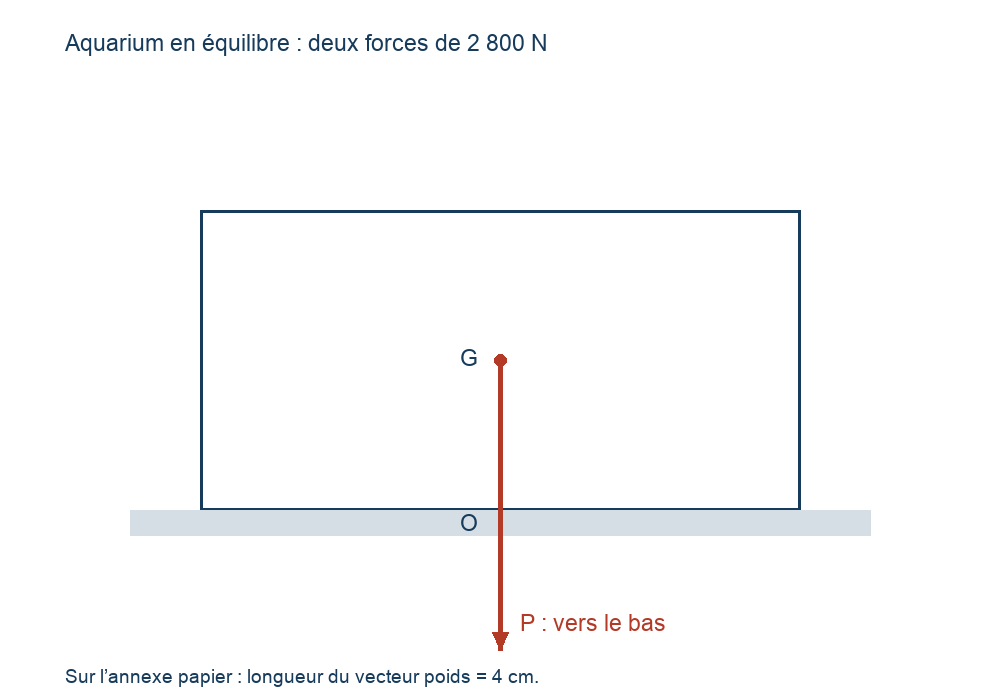Poids de l&rsquo;aquarium : flèche dirigée vers le bas, dont le départ en G est visible.