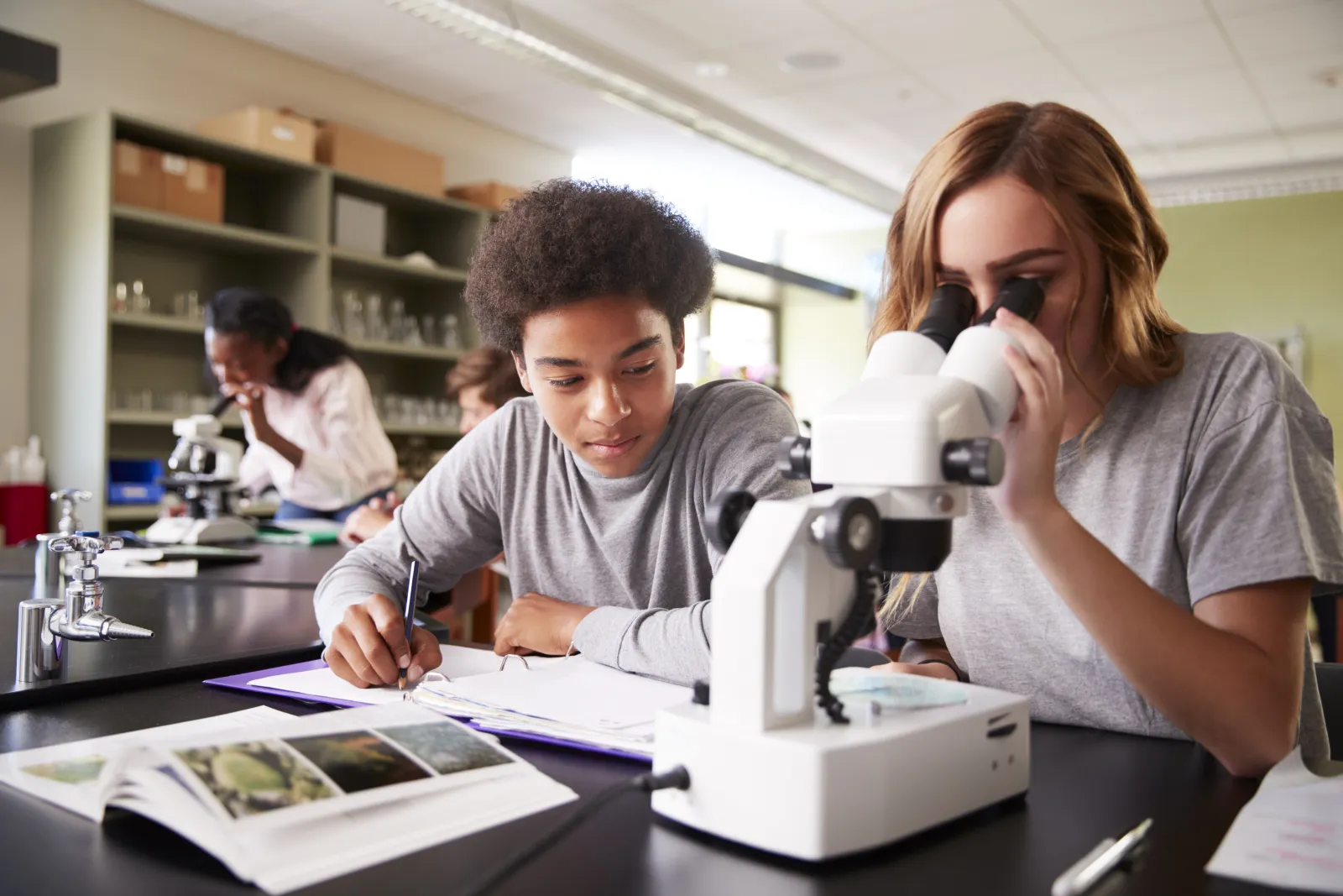 Deux élèves travaillent ensemble au microscope pendant un cours de biologie.
